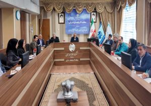 ۴۰ هزار سرویس فیبر نوری در سال ۱۴۰۴در آذربایجان شرقی به مشتریان واگذار می شود